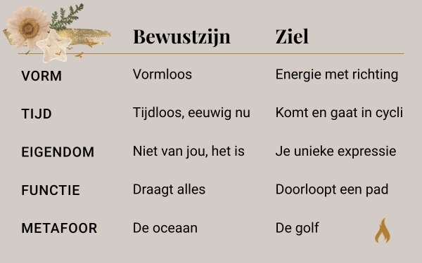 Wat doet het Bewustzijn en de Ziel
