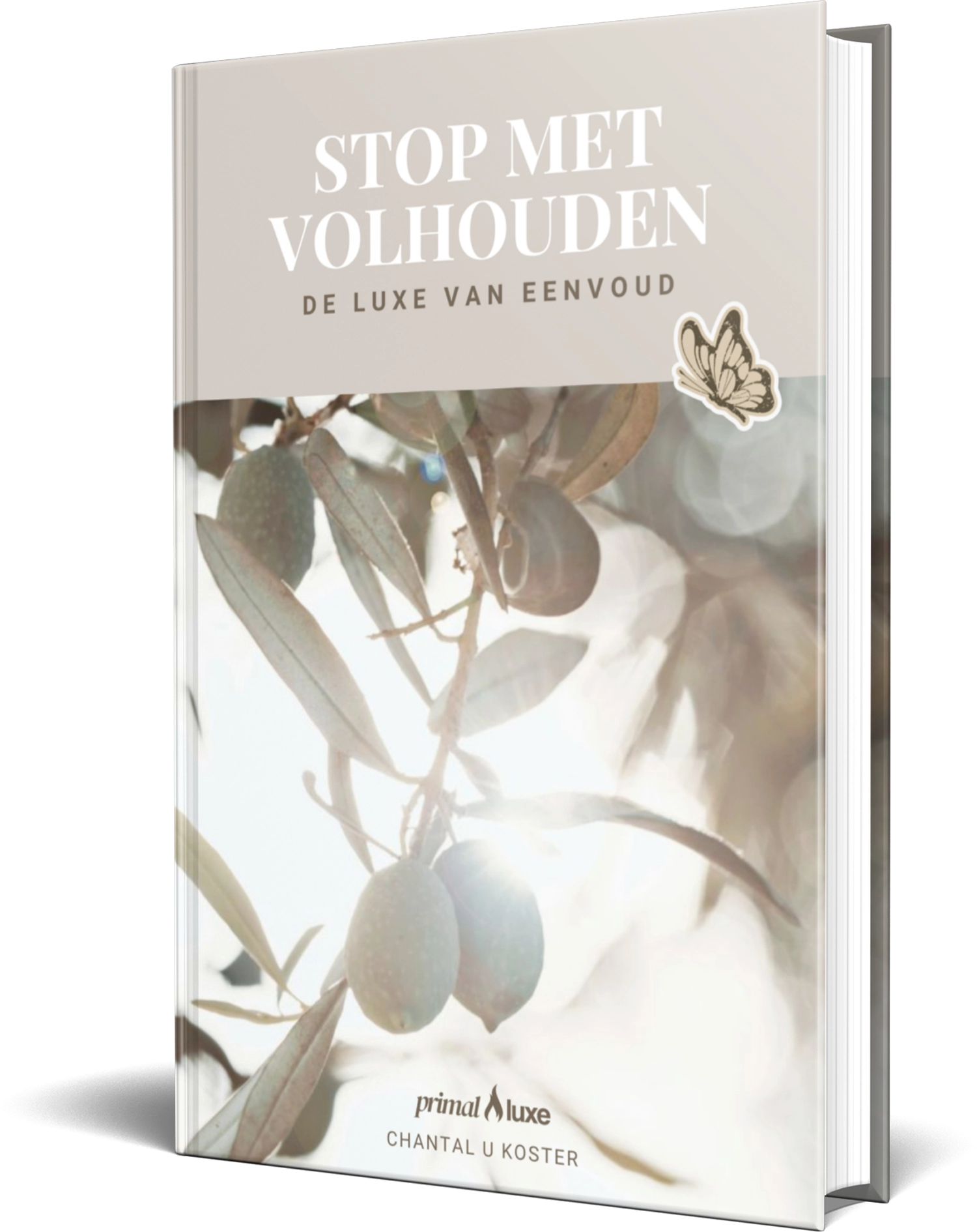 E-book Stop met Voldhouden
